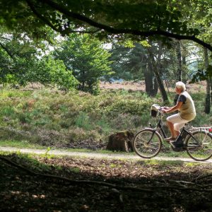 Fahrradverleih im Hotel Klaus Störtebeker